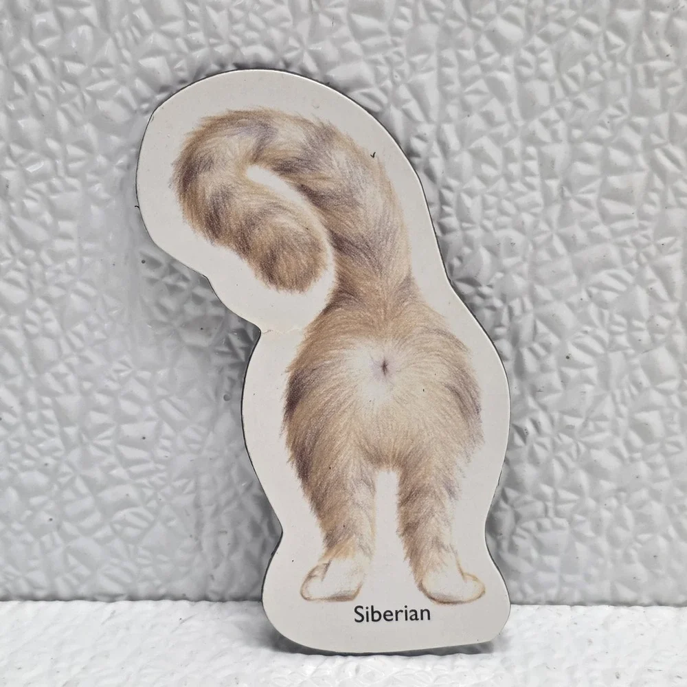 Lot Of 5 Cat Butts Funny Flat Magnets